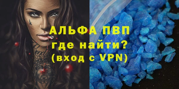 индика Покачи