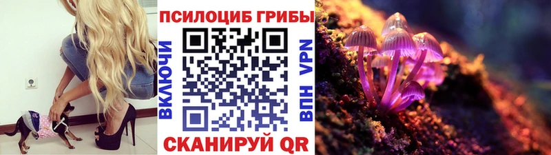 кракен зеркало  Избербаш  Галлюциногенные грибы Magic Shrooms 