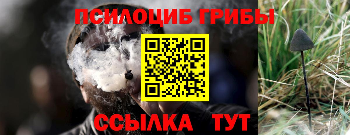 Галлюциногенные грибы Magic Shrooms  Галлюциногенные грибы Psilocybine cubensis  Избербаш 